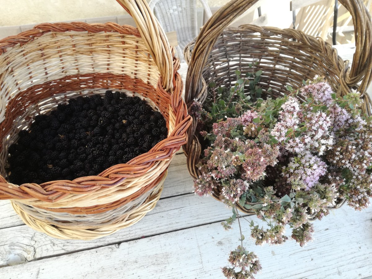 Blackberries and Oregano
